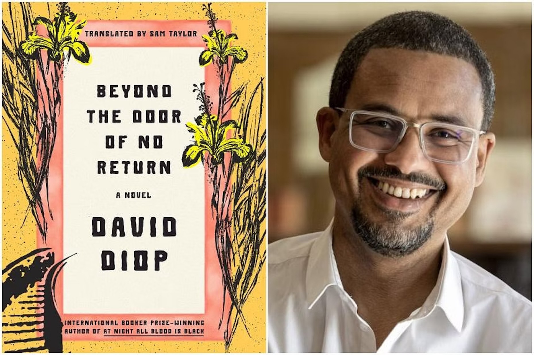 David Diop book