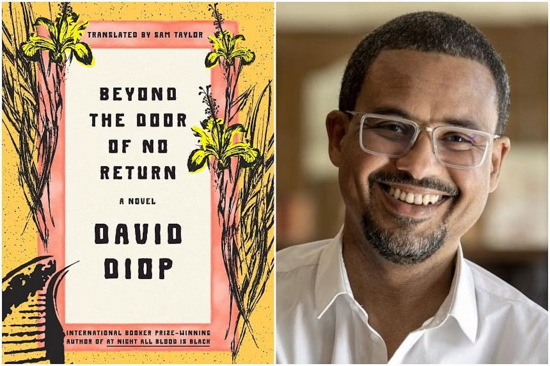 David Diop book
