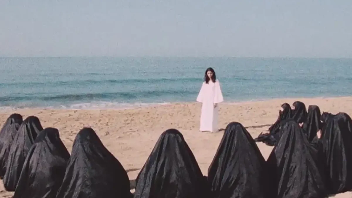 Leila and the Wolves